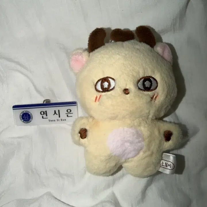 [BUNJANG] Park Jihoon Sosimi Doll Yeon Si Eun Name Tag Bundle Set / 소심이 박지훈 인형 연시은 명찰 판매 양도