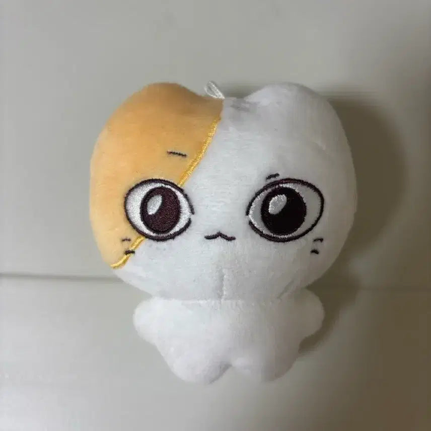 [BUNJANG] BOYNEXTDOOR Seungho Doll Ddongnya / 보이넥스트도어 보넥도 성호 인형 떵냐 양도
