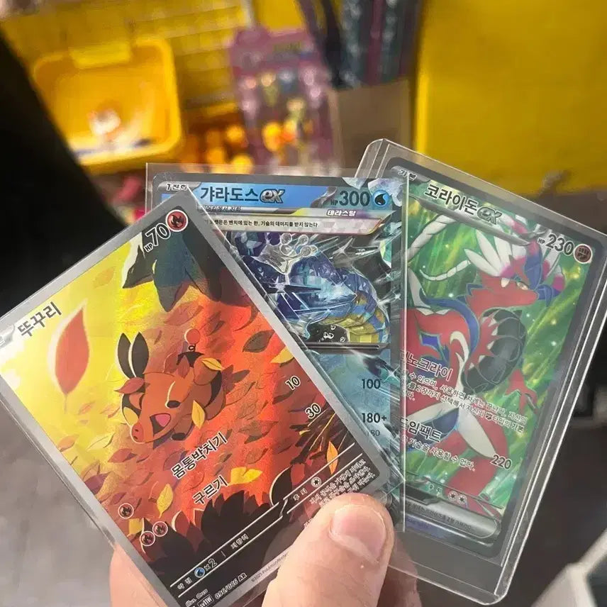 [BUNJANG] Pokemon Cards - Koraidon, Gyarados, Fuecoco / 포켓몬 카드 코라이돈 갸라도스 뚜꾸리