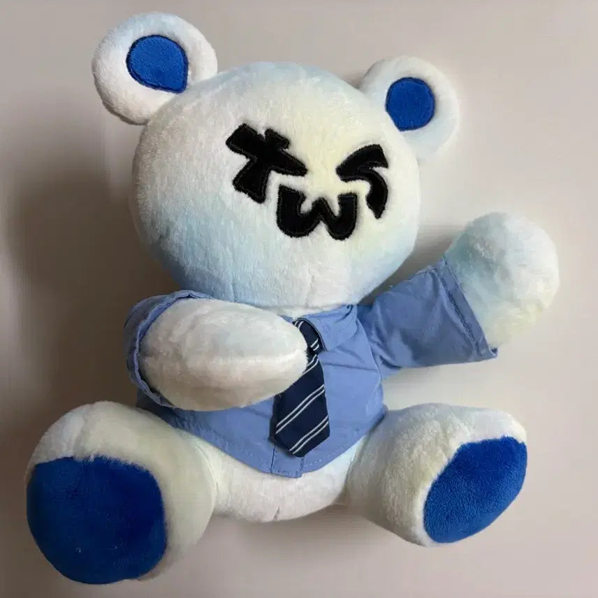 [BUNJANG] TWS 1st Anniversary Big Teddy Bear Doll / 투어스 투곰이 인형 정가양도 데뷔1주년 대왕 투곰이