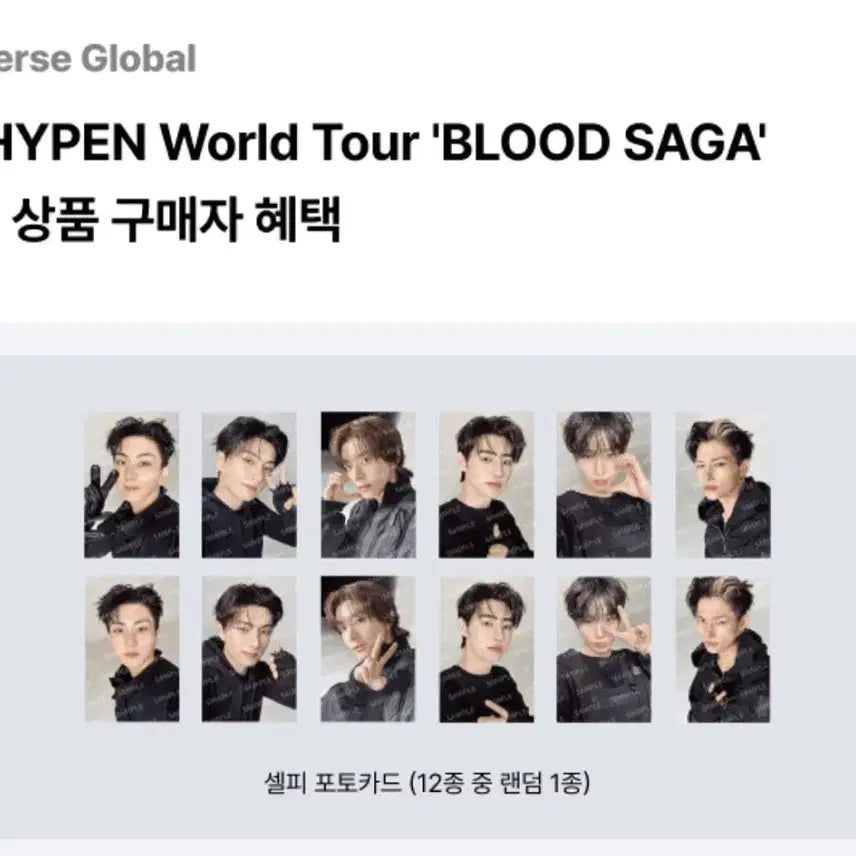 [BUNJANG] ENHYPEN Yang Jungwon Blood Saga MD Bundle Set Photocard + Holder / 엔하이픈 blood saga 양정원 md특전 포카+ 홀더 일괄