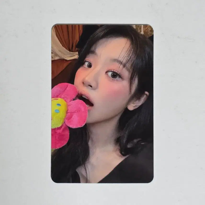 [BUNJANG] QWER Cho-dan Mini Record Photocard / QWER 예판 미니레코드 포카 양도 쵸단