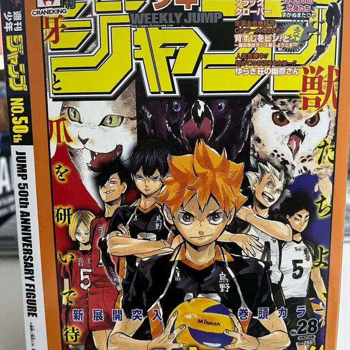 [BUNJANG] Haikyuu!! Jump 50th Anniversary Figure Hinata Shoyo / 하이큐 점프 50주년 애니버서리 피규어 히나타 쇼요