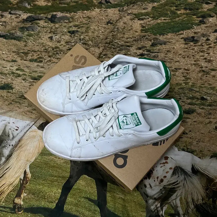 [BUNJANG] Adidas Stan Smith Shoes / 아디다스 스탠스미스 275