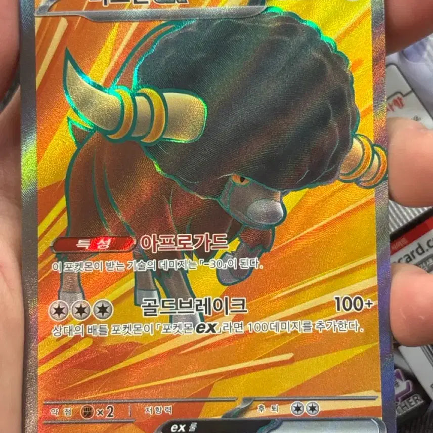 [BUNJANG] Pokemon Charizard, Bouffalant EX SR Cards / 포켓몬 샤로다, 버프론 EX SR
