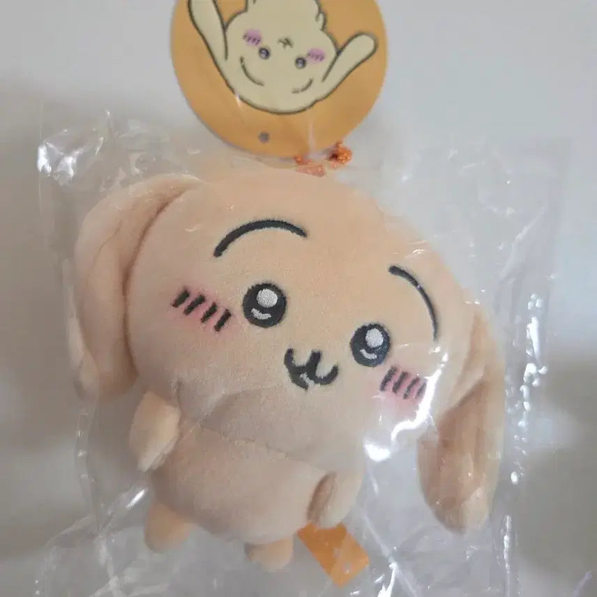 [BUNJANG] Usagi Robear Plush / 우사기 롭이어