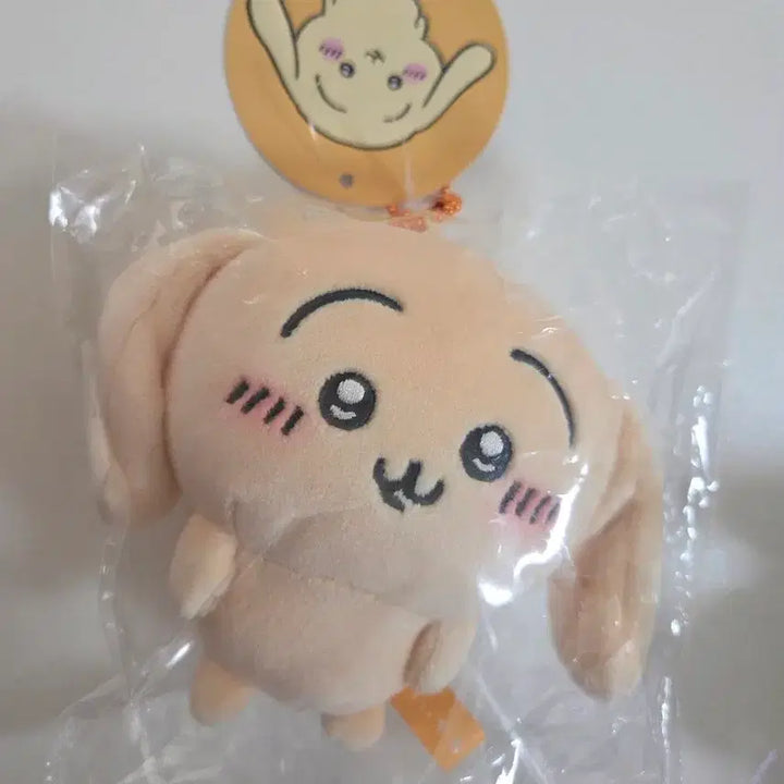 [BUNJANG] Usagi Robear Plush / 우사기 롭이어