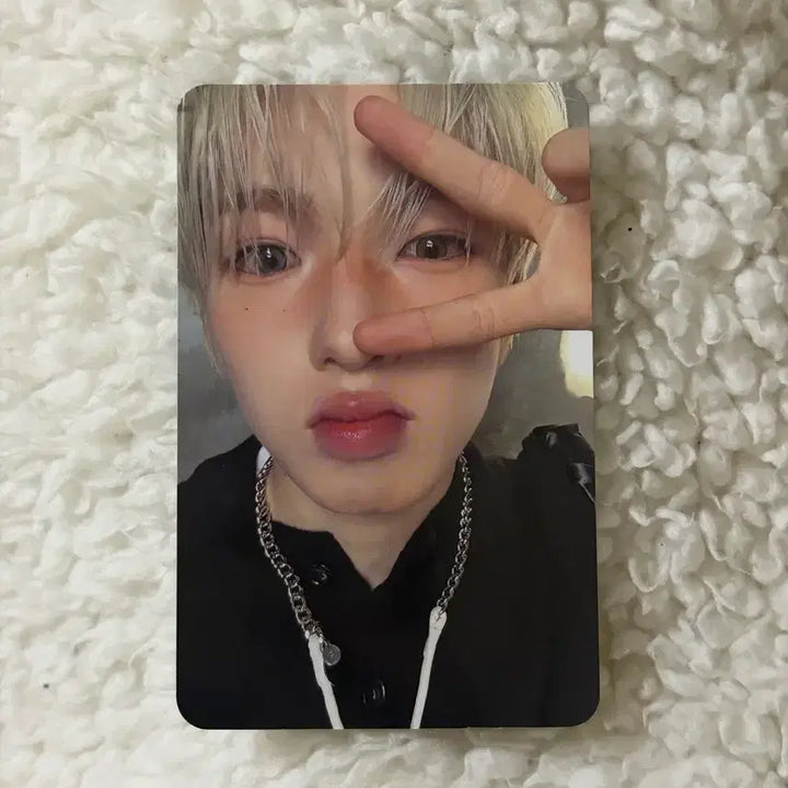 [BUNJANG] ODD TO LOVE Sakuya Photocard / 오드투러브 사쿠야 포카