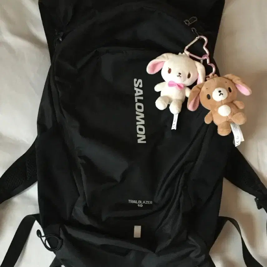 [BUNJANG] Salomon Trailblazer 10 Backpack Black / 살로몬 트레일블레이저 10 백팩 블랙