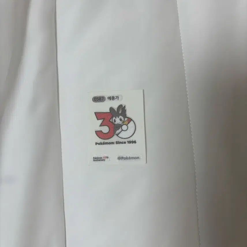 [BUNJANG] Pokemon 30th Anniversary Sticker - Emolga / 포켓몬 30주년 띠부실 에몽가