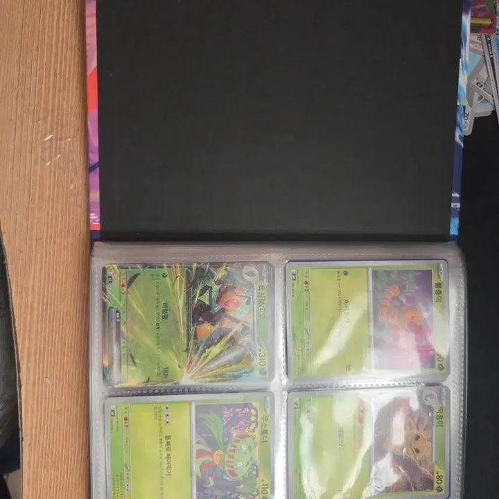 [BUNJANG] Pokemon Card Binder with Ninjaster Illustration / 포켓몬 카드 닌자스피너 도감