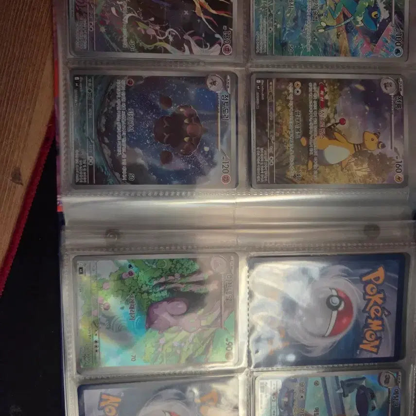 [BUNJANG] Pokemon Card Binder with Ninjaster Illustration / 포켓몬 카드 닌자스피너 도감