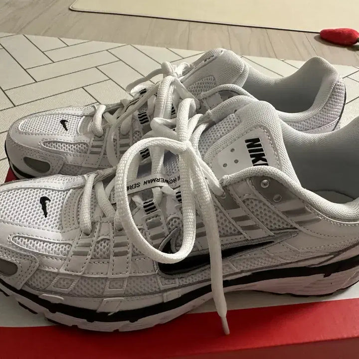 [BUNJANG] Nike P-6000 Sneakers / 나이키 p-6000