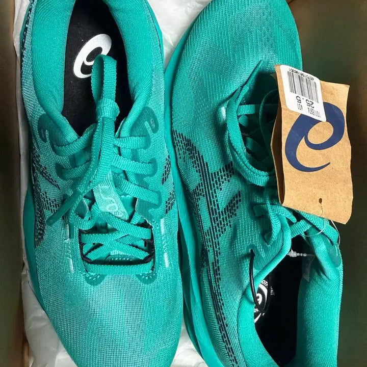 [BUNJANG] ASICS NovaBlast 5 Emerald Black Mint (255) / 아식스 노바블라스트5 255 에메랄드블랙 민트