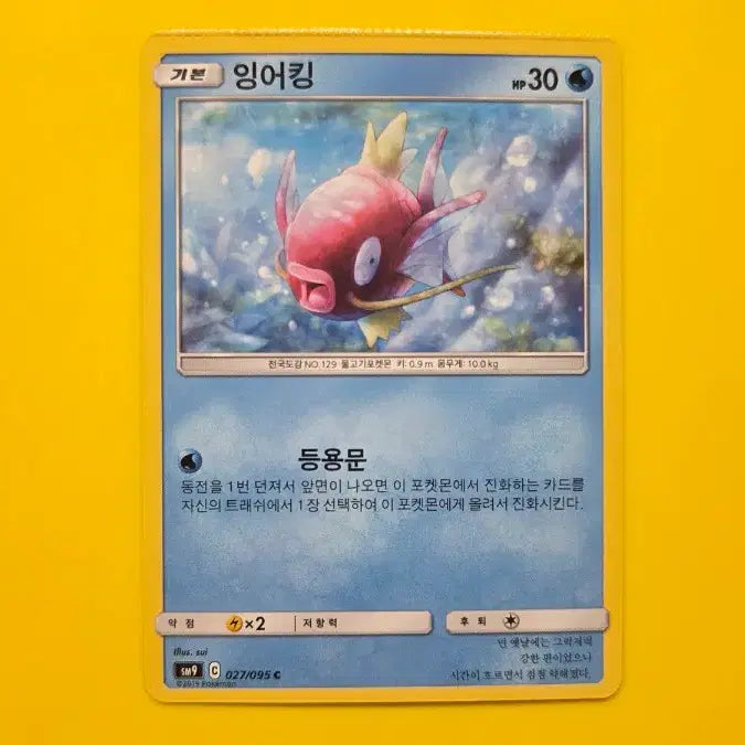 [BUNJANG] Pokemon Card Magikarp SM9 027/095 Error Card / 포켓몬카드 잉어킹 에러판 (sm9 027/095)