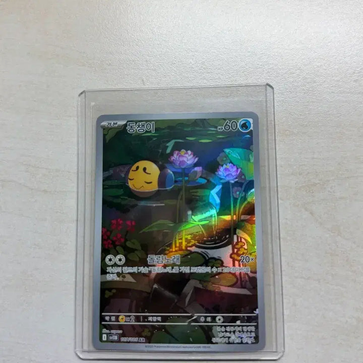 [BUNJANG] Pokemon Card Dongchaengi AR / 포켓몬카드 동챙이 ar