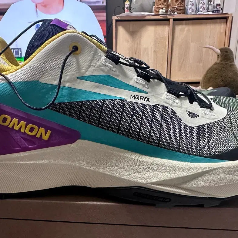 [BUNJANG] Salomon Genesis Trail Running Shoes / 살로몬 제네시스 트레일 러닝화