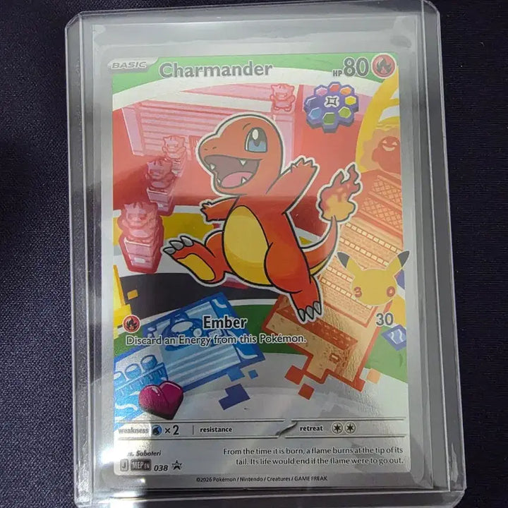 [BUNJANG] Pokemon Card North America 30th Anniversary 1st Generation First Partners Set / 포켓몬카드 북미 30주년 1세대 퍼스트파트너스