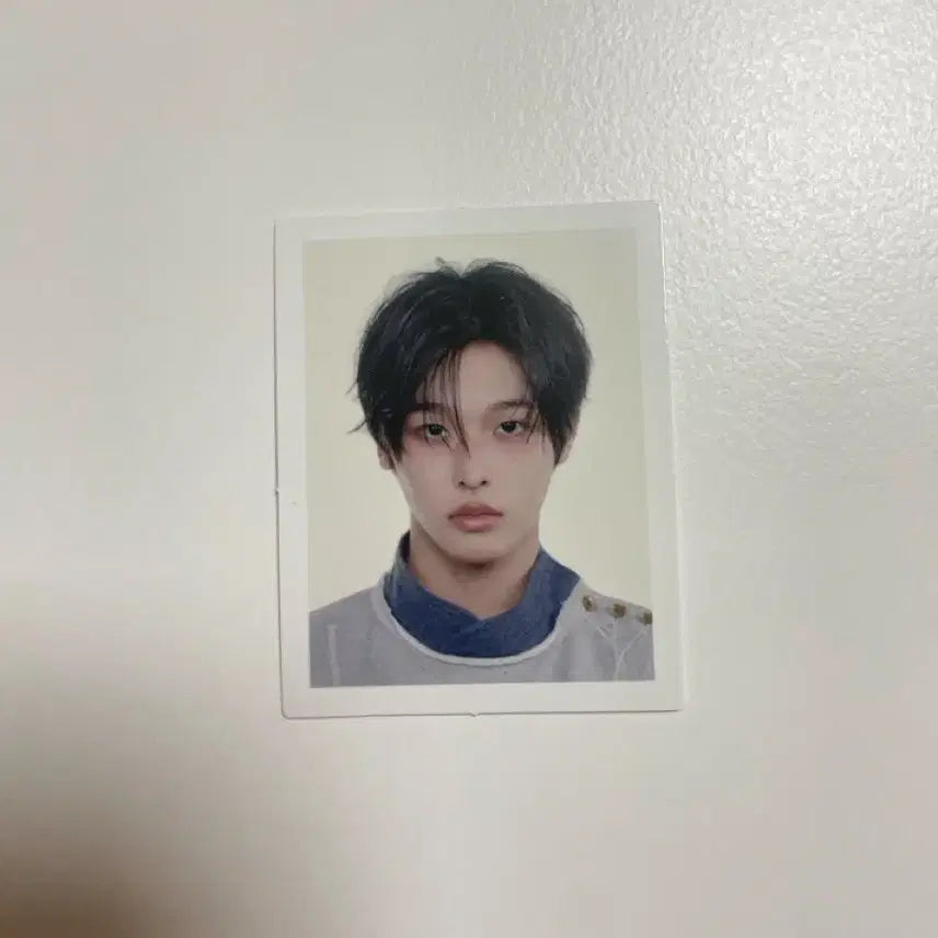 [BUNJANG] VIXX MINI Anteros Riku Official Photo / NCT WISH 빅스미니 안테로스 리쿠 증사 양도