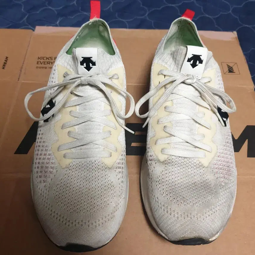 [BUNJANG] Descente Energizewing CT Lightweight Running Shoes (Gundam Edition) / 데상트 에너자이트윙 CT 경량 런닝화 건담 (280)