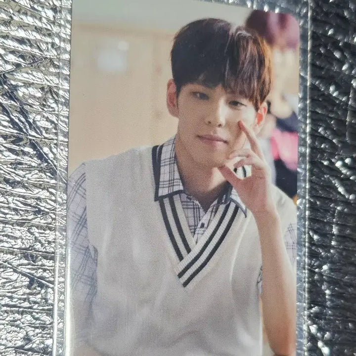 [BUNJANG] Day6 Wonpil Photocard / Day6 데이식스 원필 에데식 포토카드 최저가 팝니다!