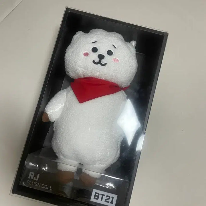 [BUNJANG] BT21 RJ Standing Doll Medium / BT21 RJ 알제이 스탠딩 미디움