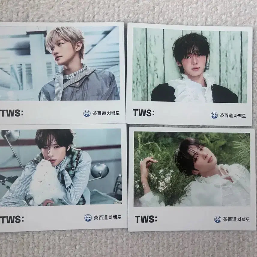 [BUNJANG] TWS Cha Hakyeon Postcard Set / 투어스 차백도 엽서