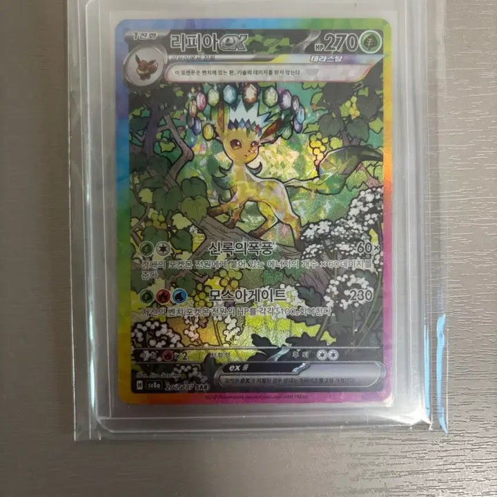 [BUNJANG] Pokemon Leafeon ex SAR Card / 포켓몬 리피아 ex SAR