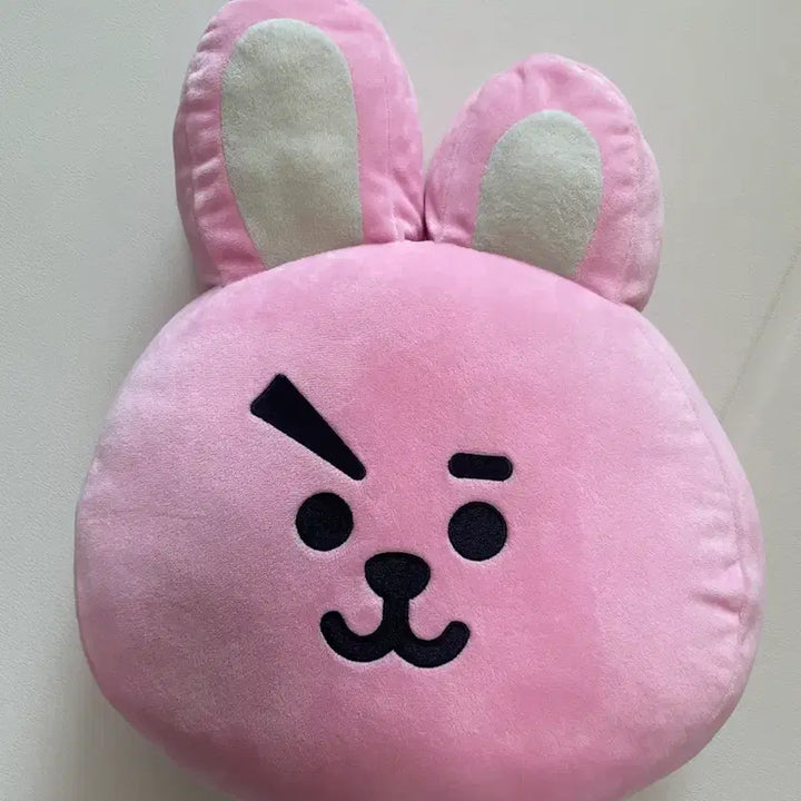 [BUNJANG] BT21 Cookie Face Cushion with Dust Bag / bt21 쿠키 얼굴 쿠션, 더스트백