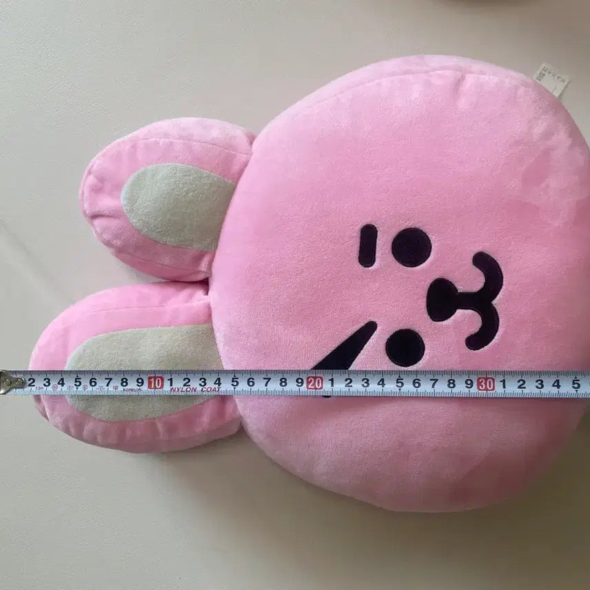 [BUNJANG] BT21 Cookie Face Cushion with Dust Bag / bt21 쿠키 얼굴 쿠션, 더스트백