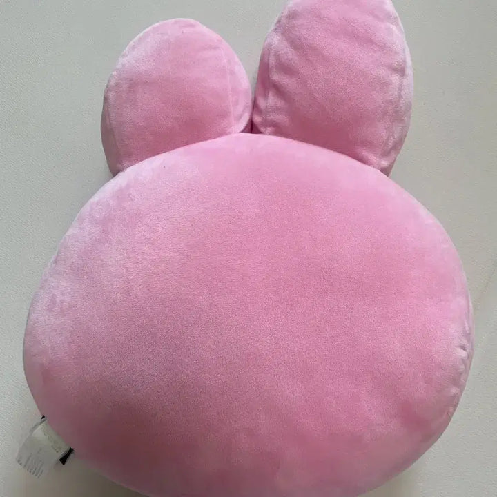 [BUNJANG] BT21 Cookie Face Cushion with Dust Bag / bt21 쿠키 얼굴 쿠션, 더스트백
