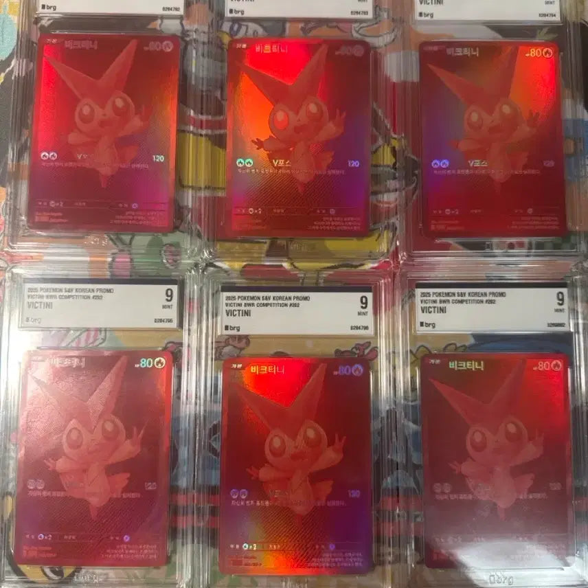 [BUNJANG] Biktiny BRG9 Pokemon Card / 비크티니 bwr brg9 오늘까지만 조금 할인