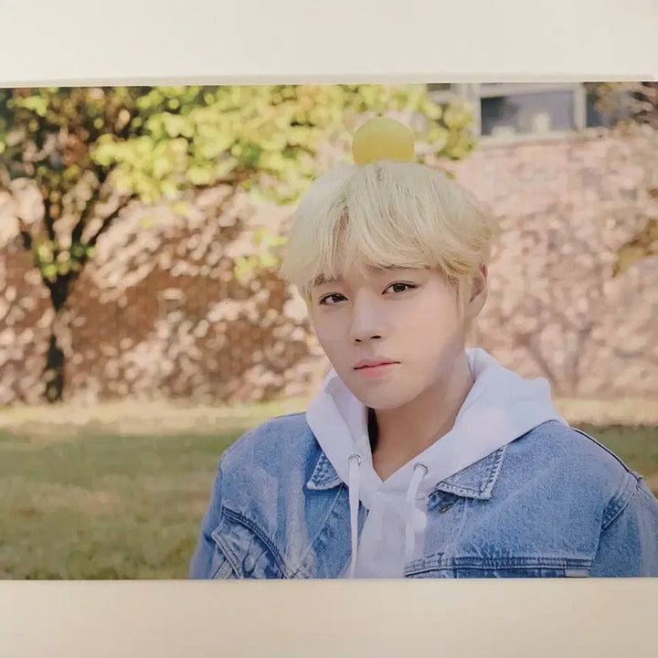 [BUNJANG] Park Ji Hoon 2021 Season&