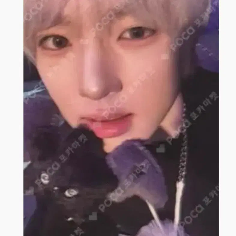[BUNJANG] Odd To Love Anteros Wichu Sakuya Photocard / 오드투러브 안테로스 위츄 사쿠야