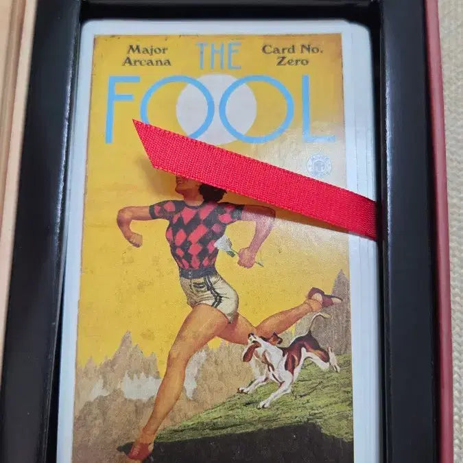 [BUNJANG] Pulp Tarot Deck / 펄프 타로카드 정품