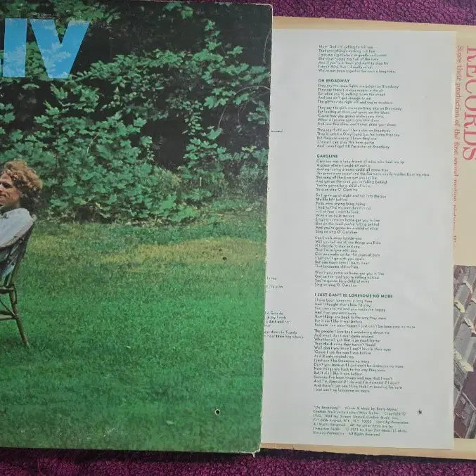 [BUNJANG] Livingston Taylor Liv LP / 리빙스턴 테일러(Livingston Taylor)_LIV_LP_US