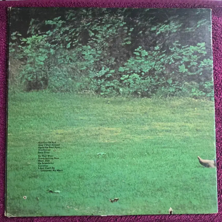 [BUNJANG] Livingston Taylor Liv LP / 리빙스턴 테일러(Livingston Taylor)_LIV_LP_US