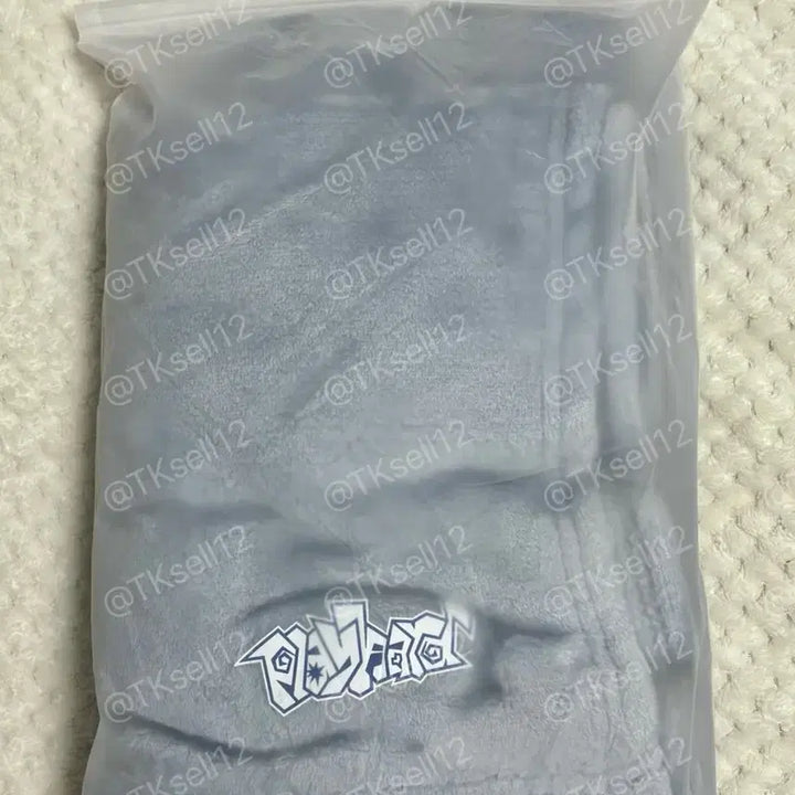 [BUNJANG] TWS Han River Fan Meeting Gift Blanket / 투어스 한강 미팬 역조공 담요 양도