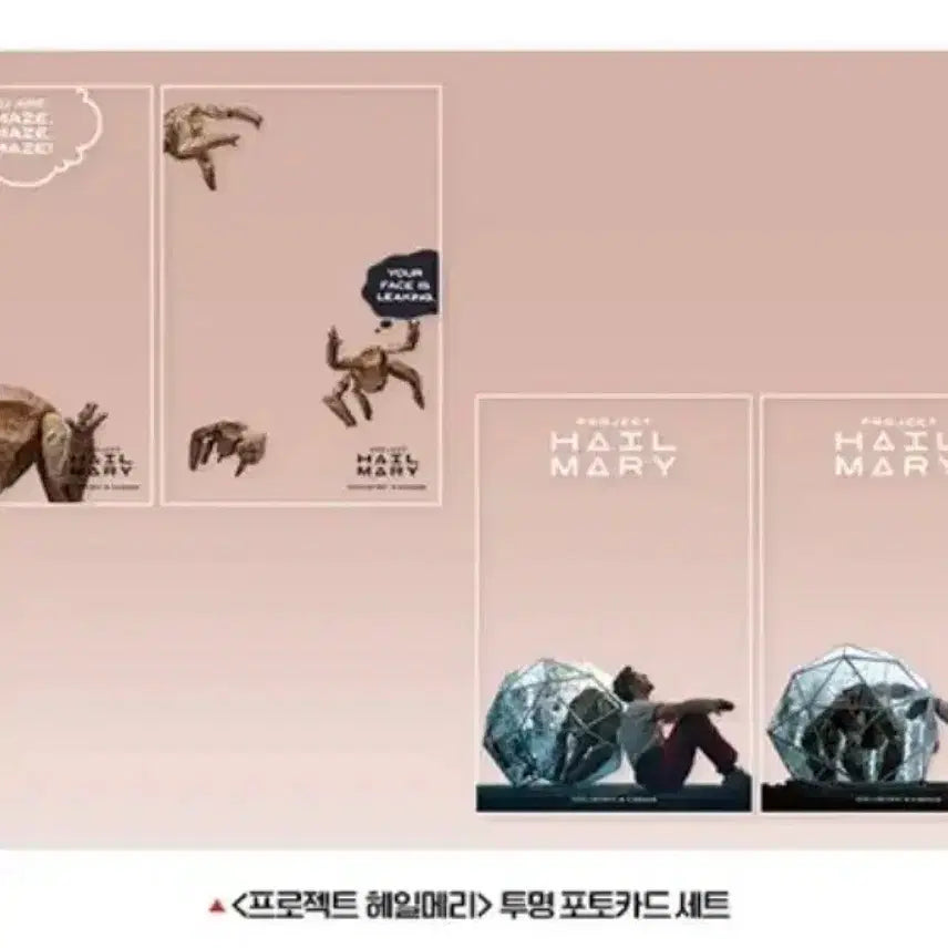 [SOLD OUT] 헤일메리 포토카드 팝니다