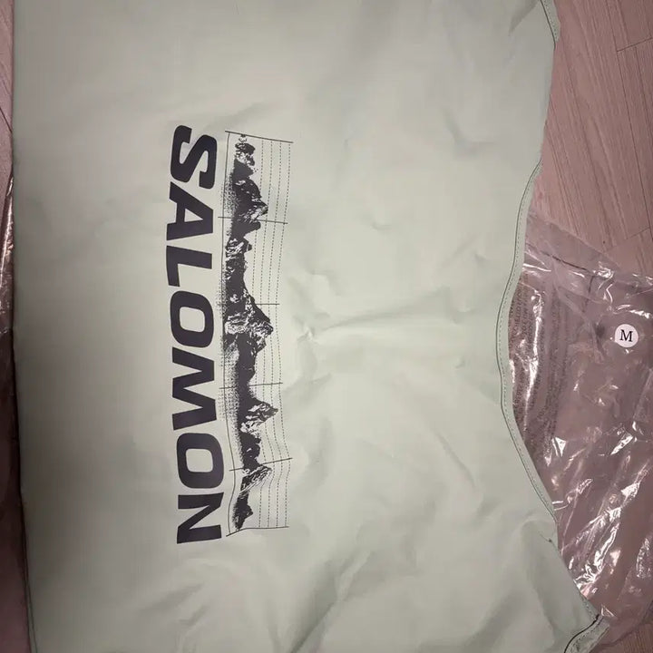 [BUNJANG] Salomon Shopper Bag Mint Green / 살로몬 가방 쇼퍼백 새상품