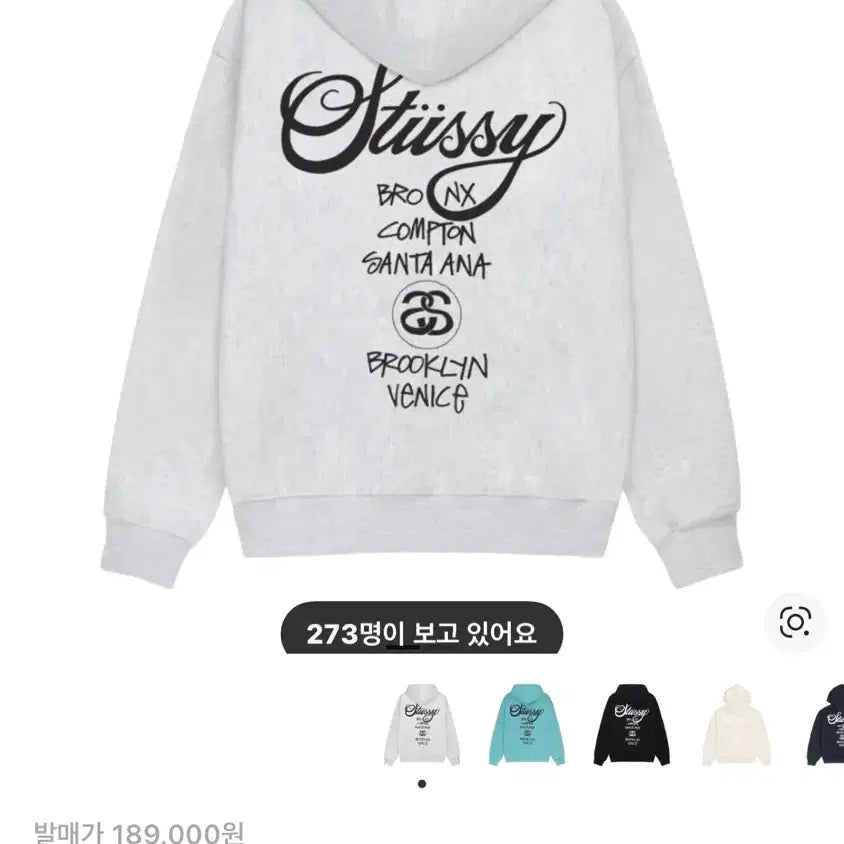 [BUNJANG] Stüssy World Tour Hoodie Ash Heather / 스투시 월드 투어 후드티 애쉬 헤더