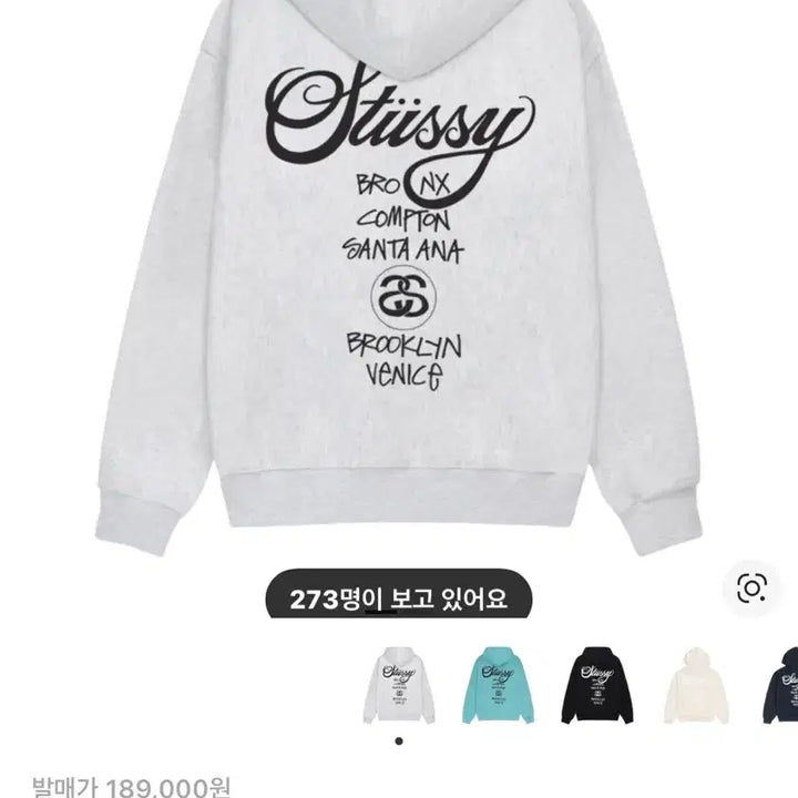 [BUNJANG] Stüssy World Tour Hoodie Ash Heather / 스투시 월드 투어 후드티 애쉬 헤더