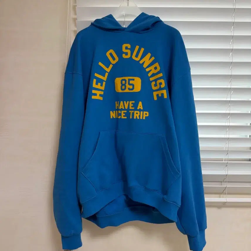[BUNJANG] Hellosunrise HNT Arch Logo Hoodie L / 헬로선라이즈 HNT 아치로고 후디 L