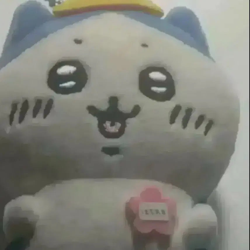 [BUNJANG] Chiikawa Nagano School Hachiware Mascot / 치이카와 먼작귀 나가노 등교 하치와레 마스코트 배송비 미포함 양도 판매