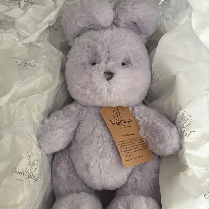 [BUNJANG] Teddy Tales Lena Bunny Lavender M Size / (새상품) 테디테일즈 레나버니 라벤더 M 사이즈 팝니다.