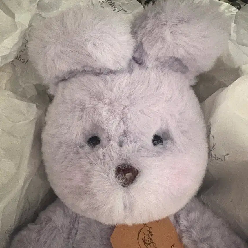[BUNJANG] Teddy Tales Lena Bunny Lavender M Size / (새상품) 테디테일즈 레나버니 라벤더 M 사이즈 팝니다.