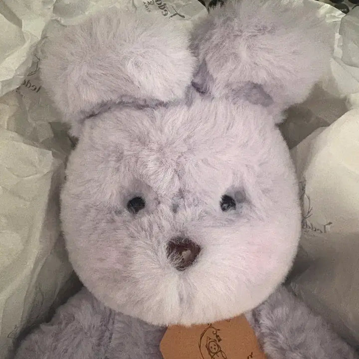 [BUNJANG] Teddy Tales Lena Bunny Lavender M Size / (새상품) 테디테일즈 레나버니 라벤더 M 사이즈 팝니다.