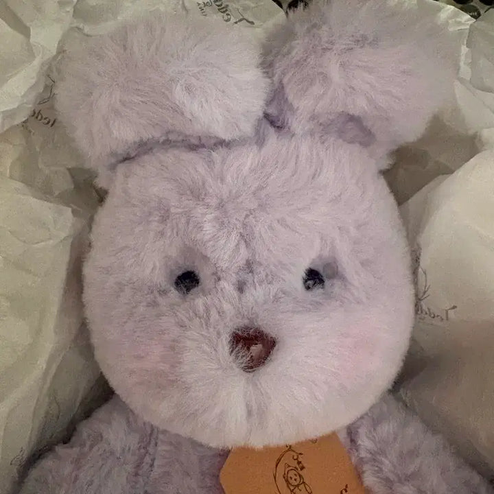 [BUNJANG] Teddy Tales Lena Bunny Lavender M Size / (새상품) 테디테일즈 레나버니 라벤더 M 사이즈 팝니다.