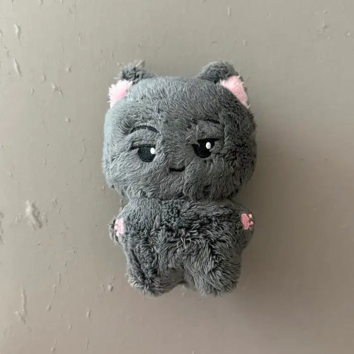 [BUNJANG] ENHYPEN Jay "Miguknyang" Doll / 엔하이픈 제이 인형 미국냥 양도