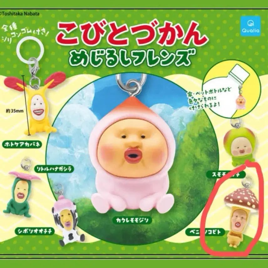 [BUNJANG] Kobitozukan Mezurushi Mushroom Hat Charm / 미개봉 코비토즈칸 메지루시